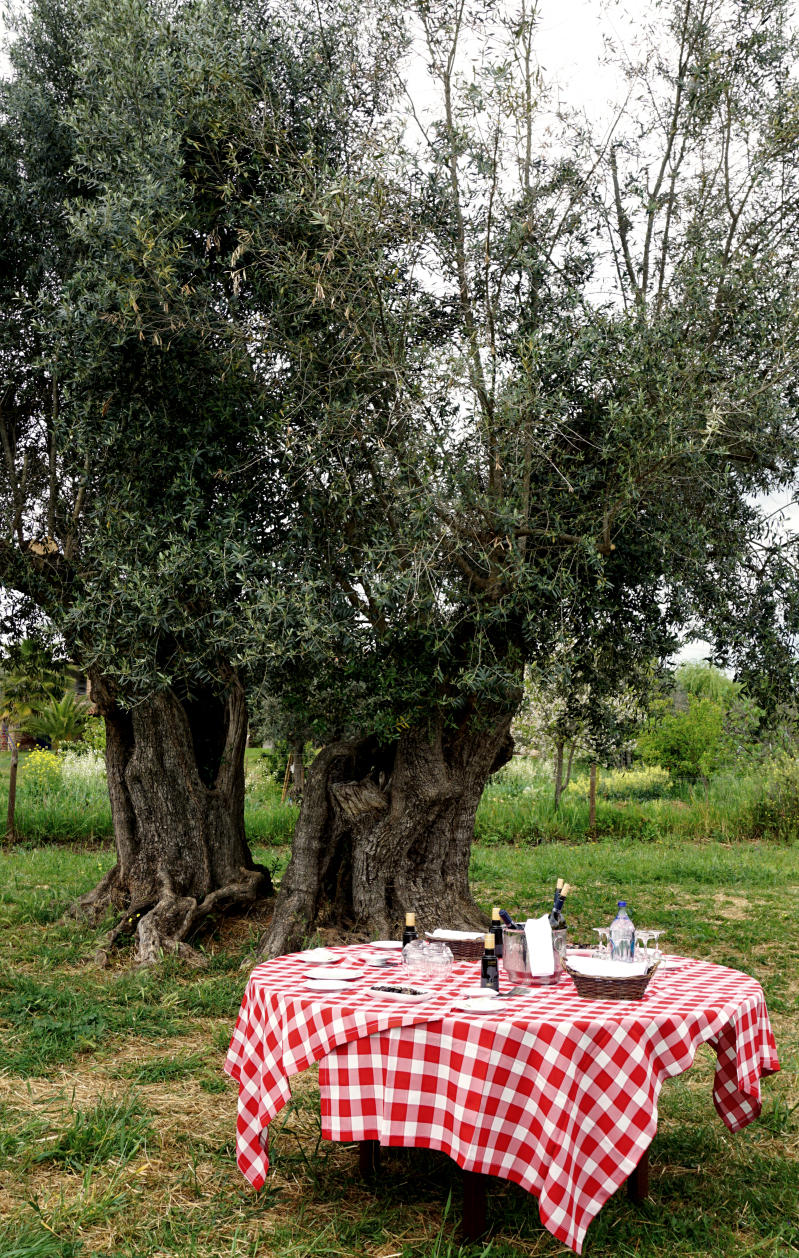 Eating in Alentejo, Portugal