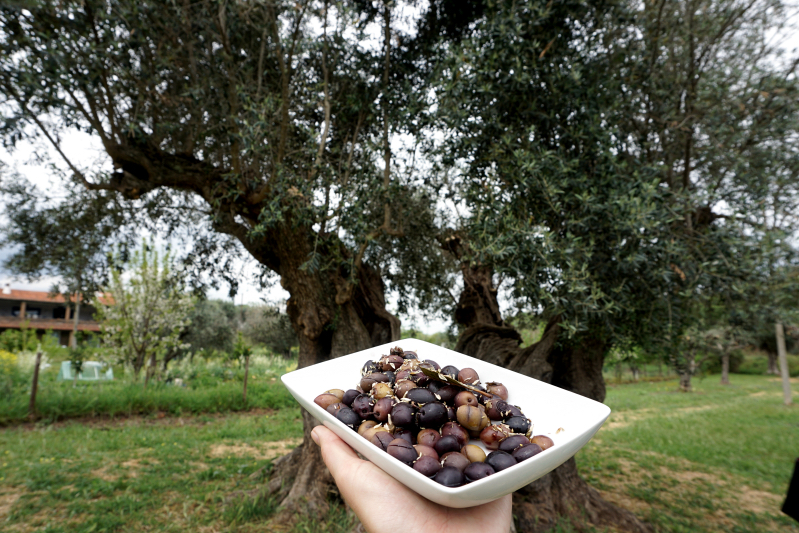 Eating in Alentejo, Portugal